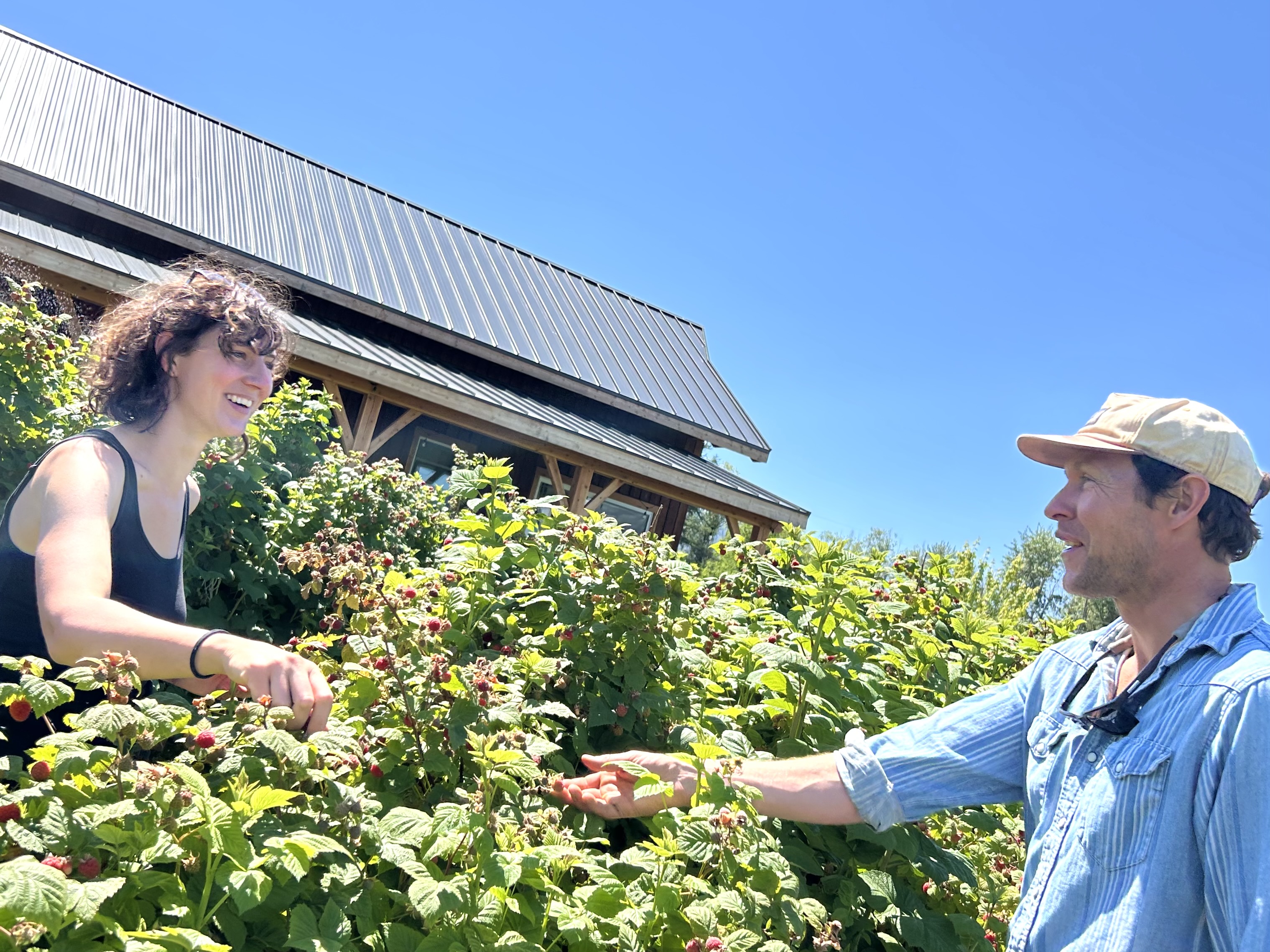 Thunder Road Farm owners stand in a raspberry patch.