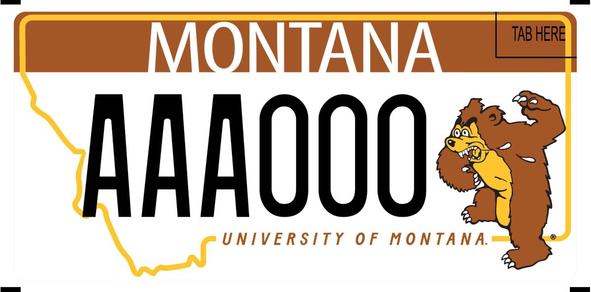 image of the new UM license plate.
